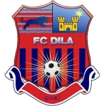 Dila Gori